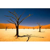 3-Day Namibia Desert Tour from Windhoek