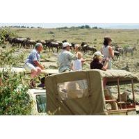 3 Days Masai Mara Camping