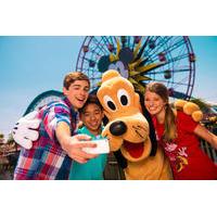 3-Day Disneyland Resort Ticket