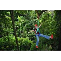 3 day rainforest meets the reef multi day trip cape tribulation daintr ...