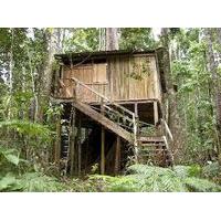 3 Rivers & Rosalie Forest Eco Lodge