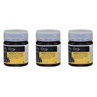 (3 Pack) - Comvita Wildlands Honey| 500 g |3 Pack - Super Saver - Save Money