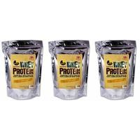 3 pack pulsin whey protein isolate powder 1000g 3 pack bundle