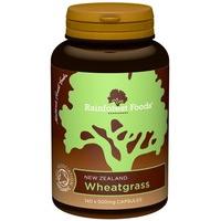 (3 PACK) - Rainforest Foods - Organic NZ Wheatgrass | 140\'s | 3 PACK BUNDLE