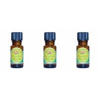 (3 PACK) - Natural By Nature Oils - Eucalyptus Essential Oil Organ | 10ml | 3 PACK BUNDLE