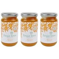 (3 PACK) - The Fruit Tree - Apricot Triple-Fruit Spread | 220g | 3 PACK BUNDLE