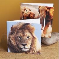 3 WWF Safari Sounds Cards