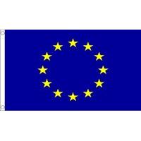 3 x 2 european union flag