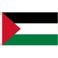 3 x 2\' Palestine Flag