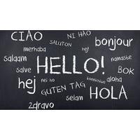 3, 6 or 12-Month Language Learning Subscription - 5 Languages