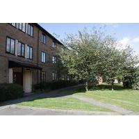 3 Bed flat with balcony and gardens £500 pcm