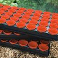 3 growing trays with 120 6cm pots