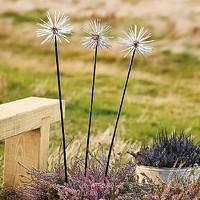 3 Metal Alliums