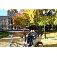 30 Minute Sightseeing Tour of Strasbourg by Pedicab