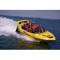 30 minute jet boat tour of lake rotorua