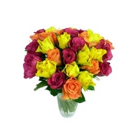 30 Assorted Petite Roses