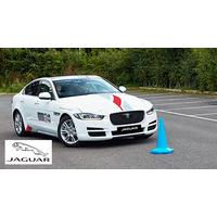 30 Minute Junior Jaguar Driving