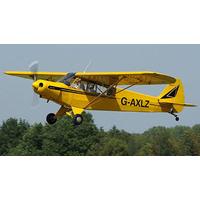 30 Minute Piper Cub Flight