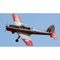 30 Minute De Havilland Chipmunk Aerobatic Flight