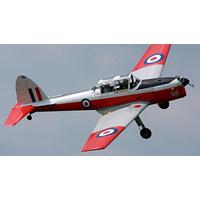 30 Minute De Havilland Chipmunk Aerobatic Flight in Devon