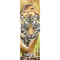 300pcs Home Gallery - Tiger