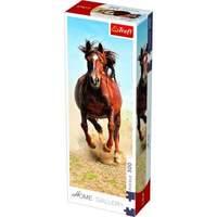 300pcs Home Gallery - Horse