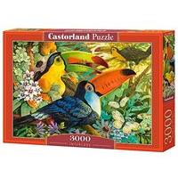 3000pc Pelican Jigsaw Puzzle