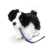 30cm Standing Border Collie On Lead