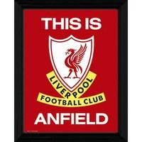 30 x 40cm Liverpool This Is Anfield Framed Collector Print