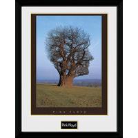 30 x 40cm Pink Floyd Tree Framed Collector Print