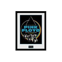 30 x 40cm Pink Floyd Dsom World Tour Framed Collector Print