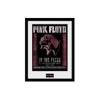 30 x 40cm Pink Floyd 1977 Framed Collector Print
