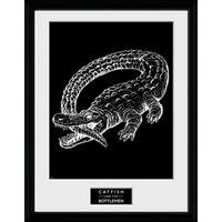 30 x 40cm catfish the bottlemen alligator framed collector print