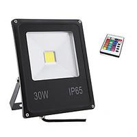30W RGB Color Light IP65 Led Flood Light Waterproof Outdoor Wall Lamp Projectors(85-265V)