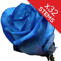 32 Blue Roses