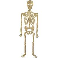 32cm Skeleton Halloween Decoration