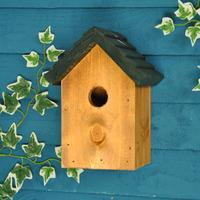 32mm Entrance Cosy Bird Nest Box - Green Roof by Tom Chambers
