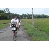 35km Mountain Bike Day Tour in Galle