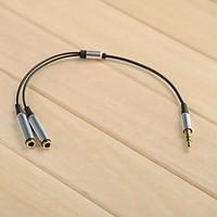 3.5mm Audio Jack Splitter