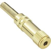 3.5 mm audio jack Socket, straight Number of pins: 4 Stereo Silver BKL Electronic 1103058 1 pc(s)