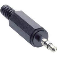 3.5 mm audio jack Plug, straight Number of pins: 3 Stereo Black Lumberg KLS 40 1 pc(s)