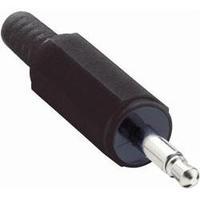 3.5 mm audio jack Plug, straight Number of pins: 2 Mono Black Lumberg 153206 1 pc(s)