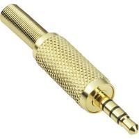 3.5 mm audio jack Plug, straight Number of pins: 4 Stereo Gold BKL Electronic 1103057 1 pc(s)