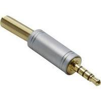 3.5 mm audio jack Plug, straight Number of pins: 4 Stereo Gold BKL Electronic 1103088 1 pc(s)