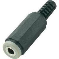 3.5 mm audio jack Socket, straight Number of pins: 4 Stereo Black Conrad Components 1 pc(s)