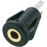 3.5 mm audio jack Socket, vertical vertical Number of pins: 3 Stereo Black Conrad Components 1 pc(s)