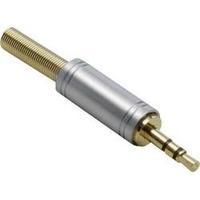 3.5 mm audio jack Plug, straight Number of pins: 3 Stereo Gold BKL Electronic 1103082 1 pc(s)