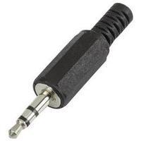 3.5 mm audio jack Plug, straight Number of pins: 3 Stereo Black Conrad Components 1 pc(s)