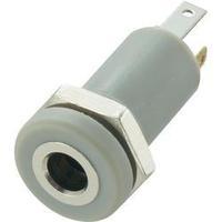 3.5 mm audio jack Socket, vertical vertical Number of pins: 4 Stereo Silver Conrad Components 1 pc(s)