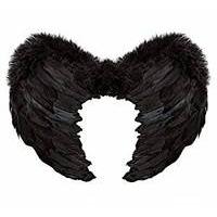 37 x 50cm black feather wings